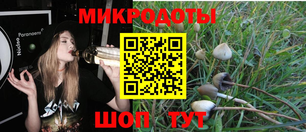 Галлюциногенные грибы ЛСД  Вход с VPN  Ярославль 